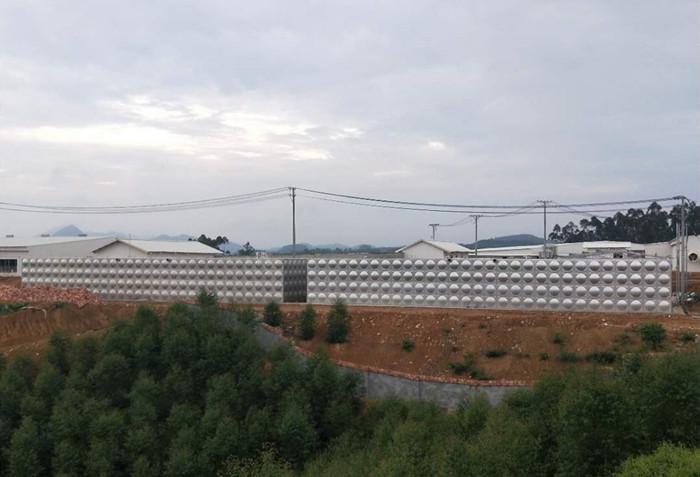 樂山巨星中區劍鋒